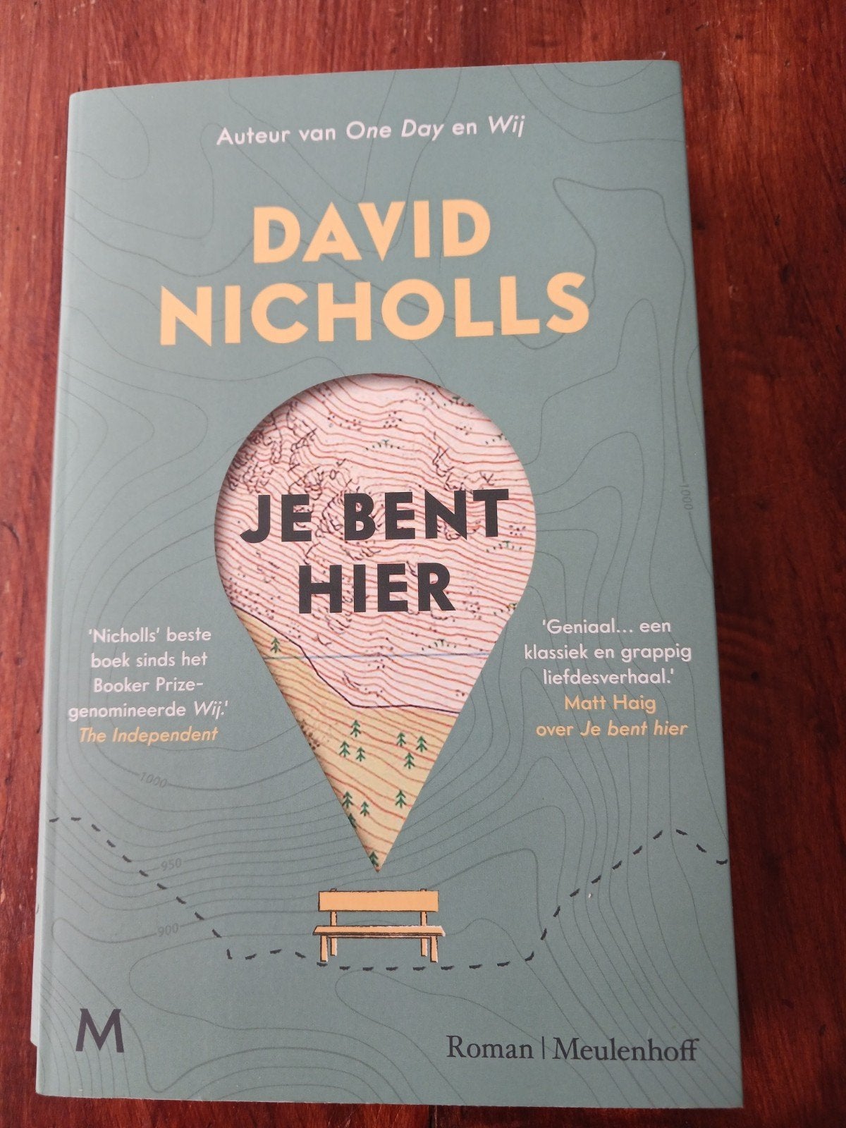 David Nicholls - Je bent hier, Boeken, Literatuur, Zo goed als nieuw, Ophalen of Verzenden