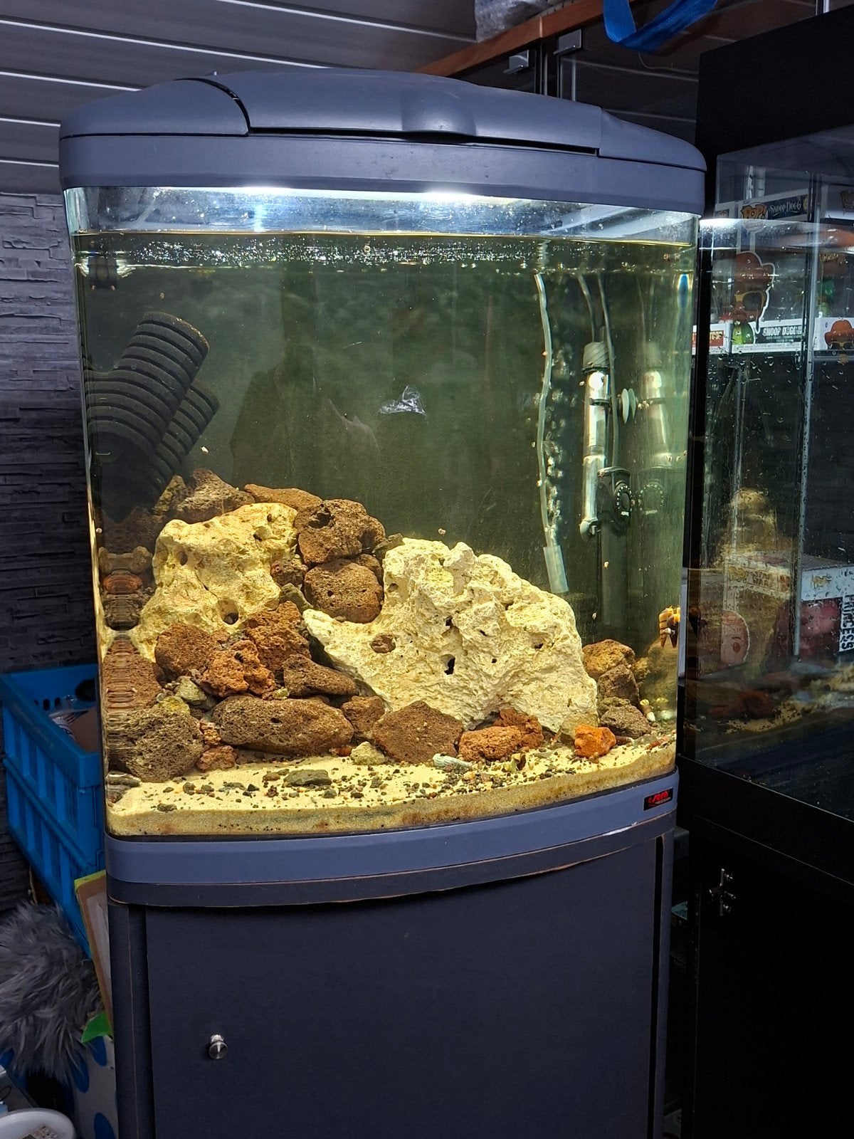 sera aquarium met onderkast, Ophalen, Gebruikt, Sera, Inclusief deksel