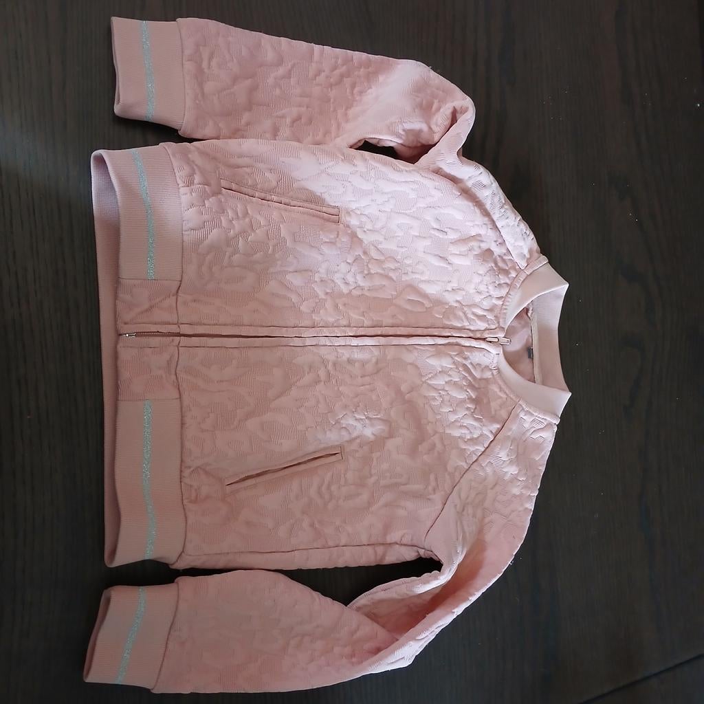 Roze vestje maat 134/140 in goede staat, Ophalen of Verzenden, Gebruikt, Meisje, Trui of Vest