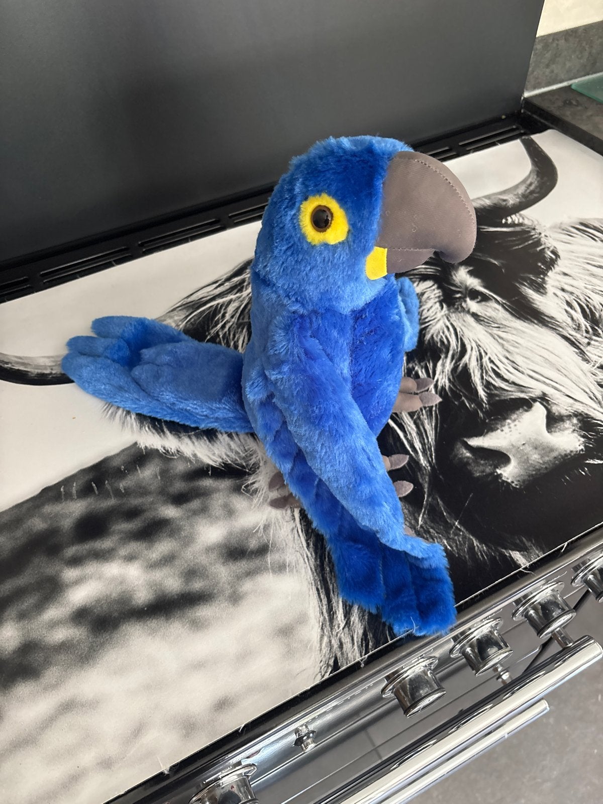 Blauwe papegaai knuffel - Ravensden, Overige merken, Overige karakters, Overige typen, Blauw