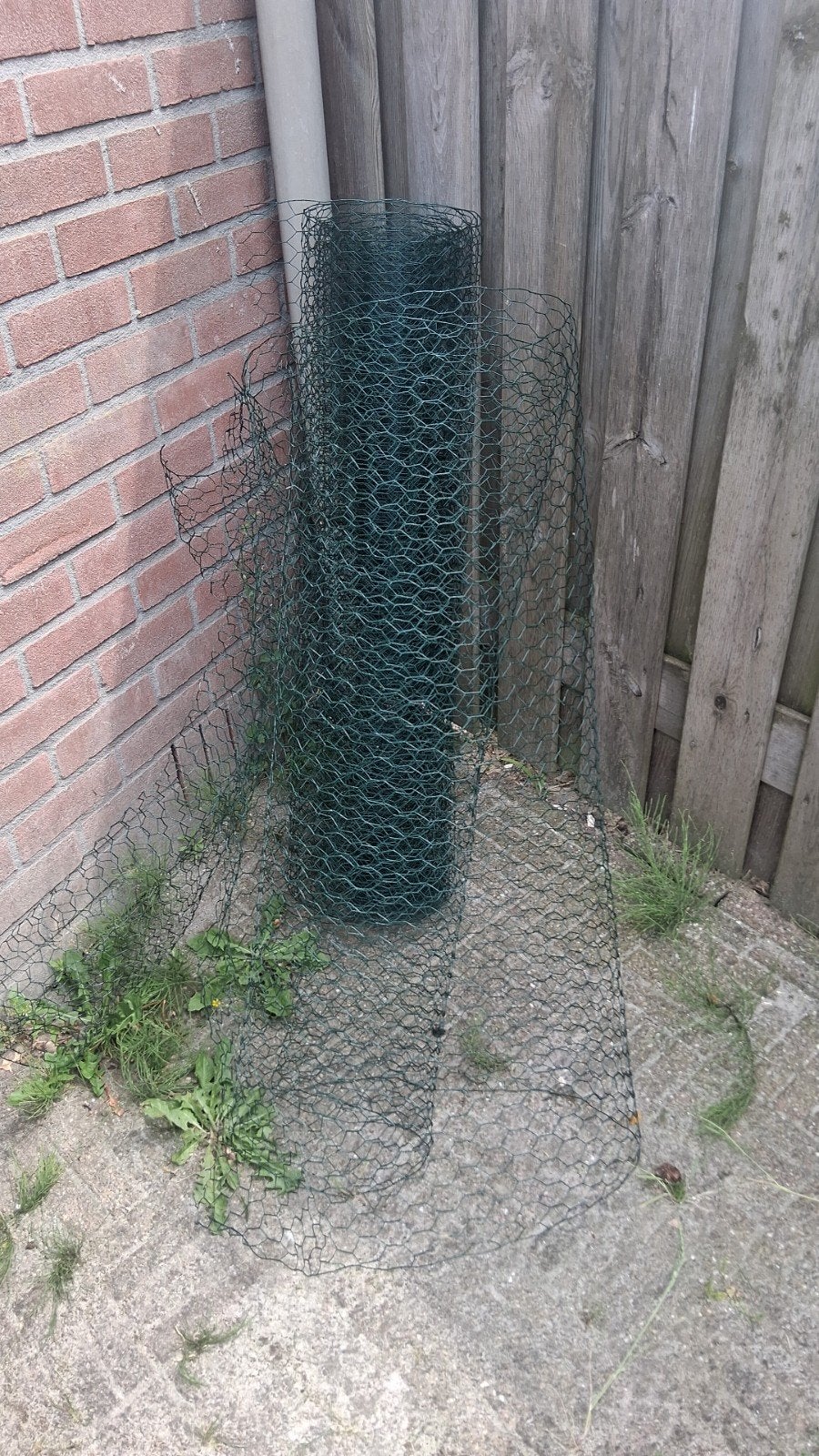 Gaas, 1 hele rol, Tuin en Terras, Ophalen, Minder dan 10 meter