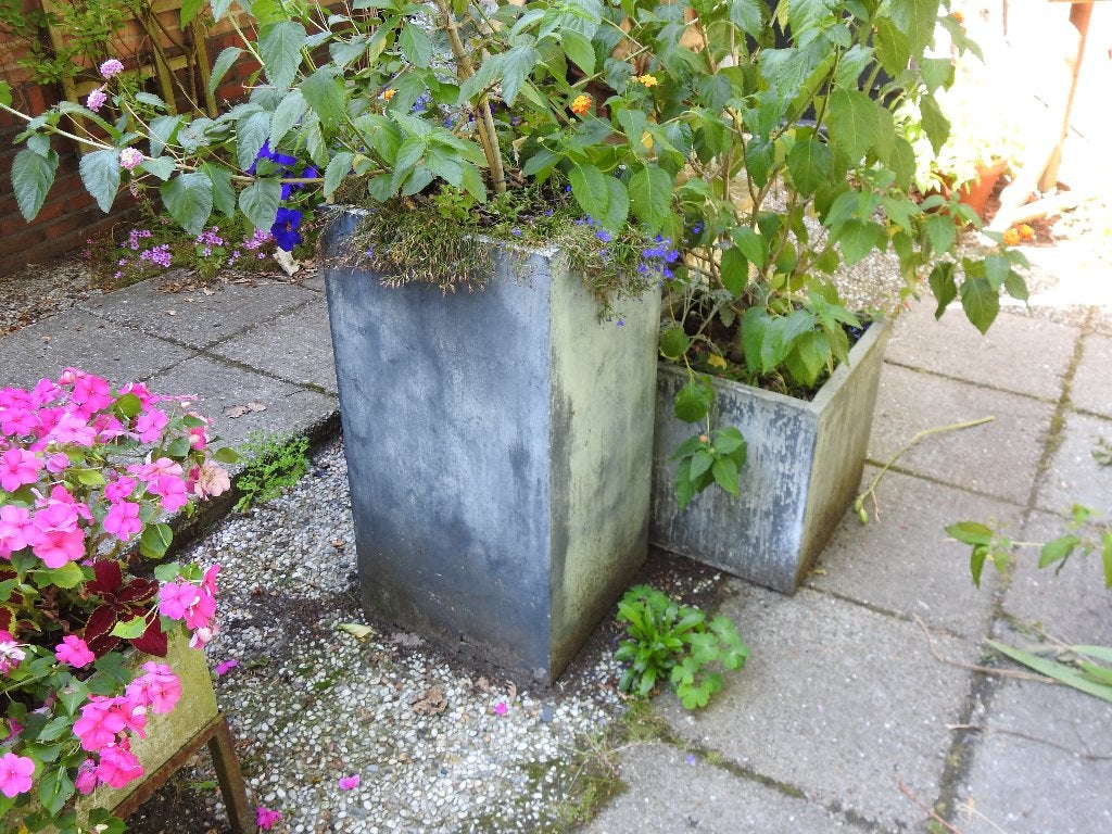 Div bloembakken te koop , inclusief planten o.a. Lantana ., Ophalen, Kunststof, Gebruikt, Minder dan 60 cm