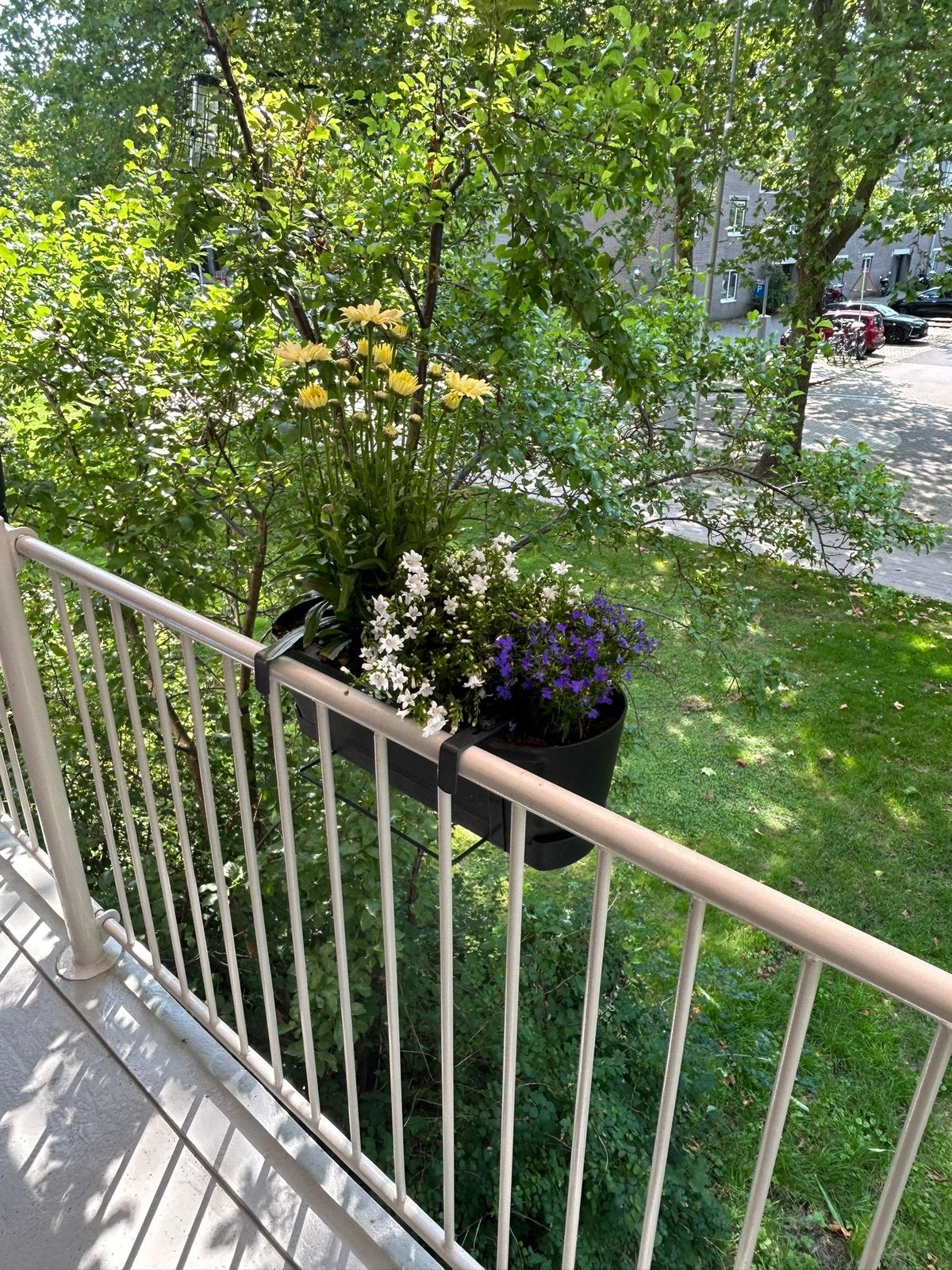 3 stuks Elho Greenville Easy Balkon plantenbak 52cm - Zwart, Tuin en Terras, Ophalen, Kunststof, Gebruikt, Minder dan 30 cm
