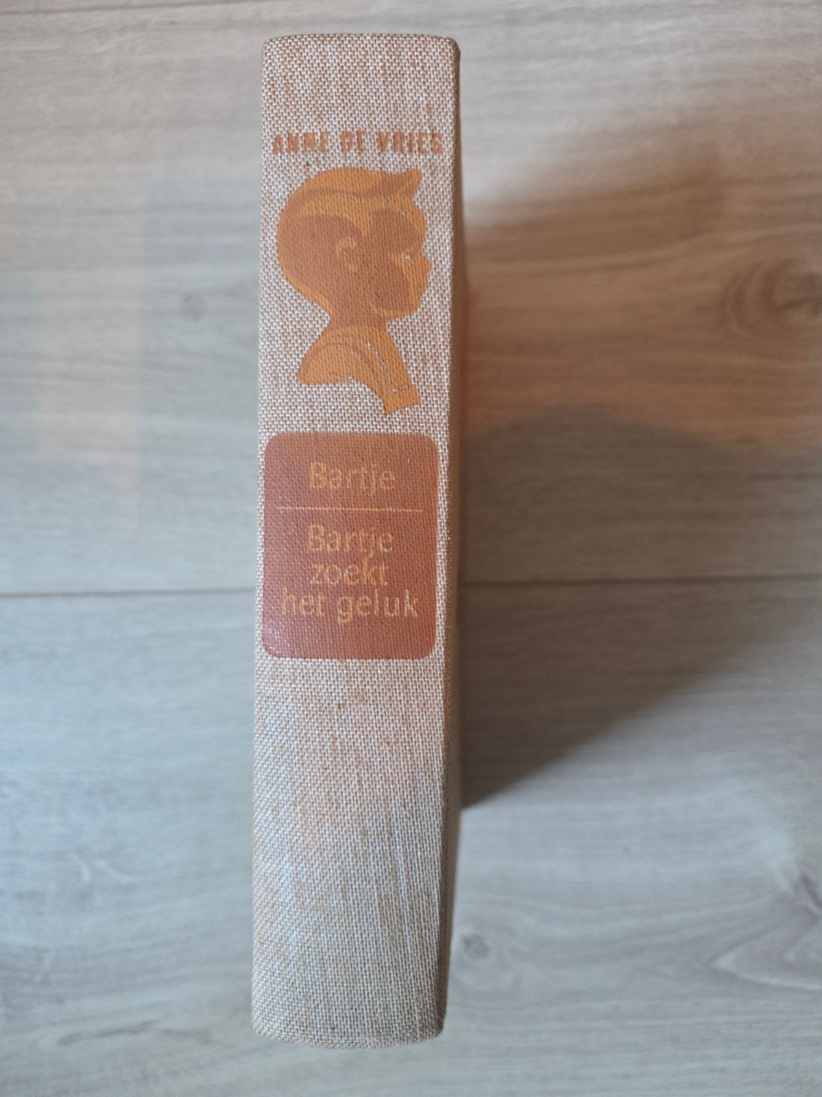 Bartje Bartje zoekt het geluk - Anne de Vries, Ophalen of Verzenden, Gelezen, Anne de Vries, Fictie algemeen