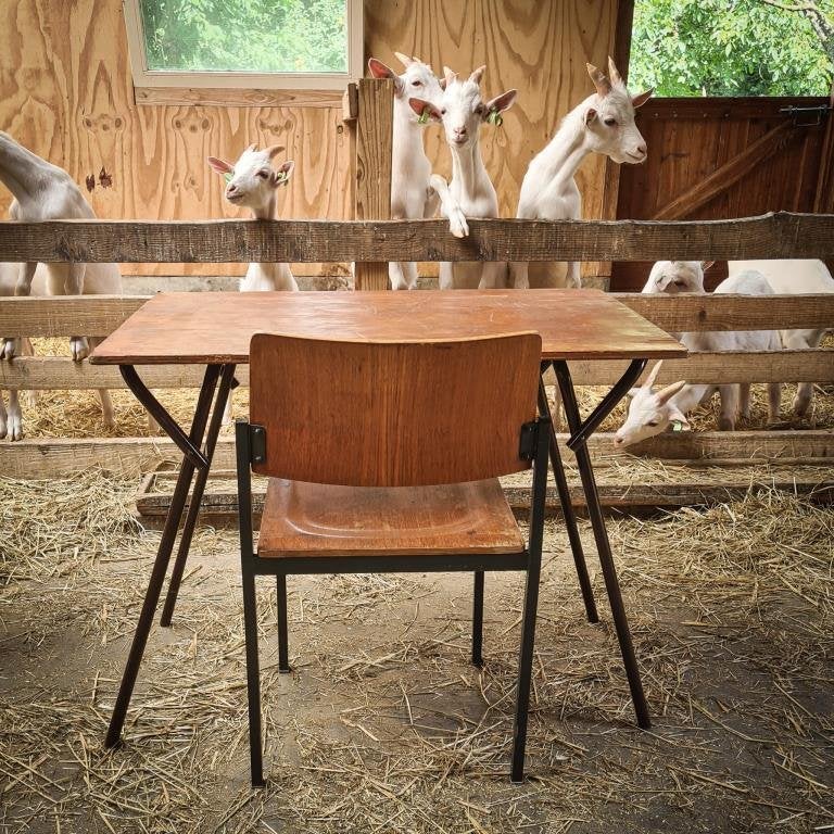 Retro vintage examen klaptafels,  horeca terrastafel  377, Gebruikt, 200 cm of meer, Ophalen of Verzenden, 25 tot 50 cm