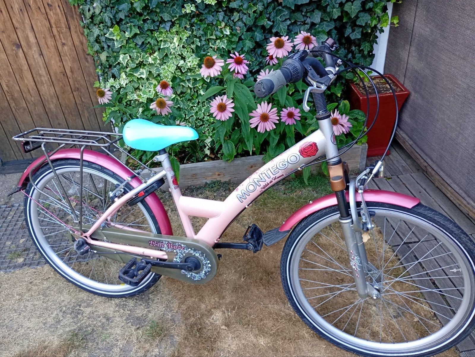 meisjesfiets, Ophalen, Terugtraprem, Montego, Versnellingen