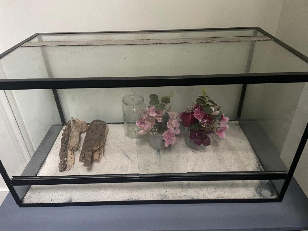 Terrarium - Aquarium voor hamster, wandelende tak of reptiel, Ophalen, Gebruikt