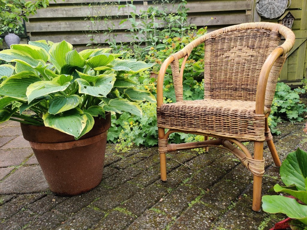Kinderstoel, rotan, voor binnen of buiten, Ophalen, Overige kleuren, Riet of Rotan, Zo goed als nieuw