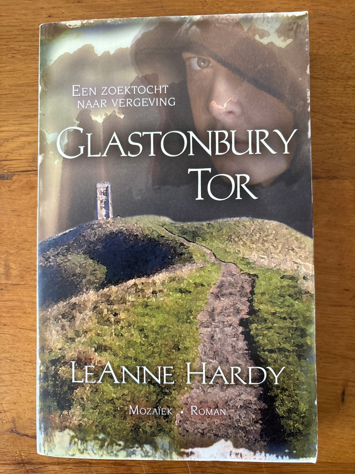 Glastonbury Tor - LeAnne Hardy (Roman), Boeken, Ophalen of Verzenden, Gelezen, Europa overig