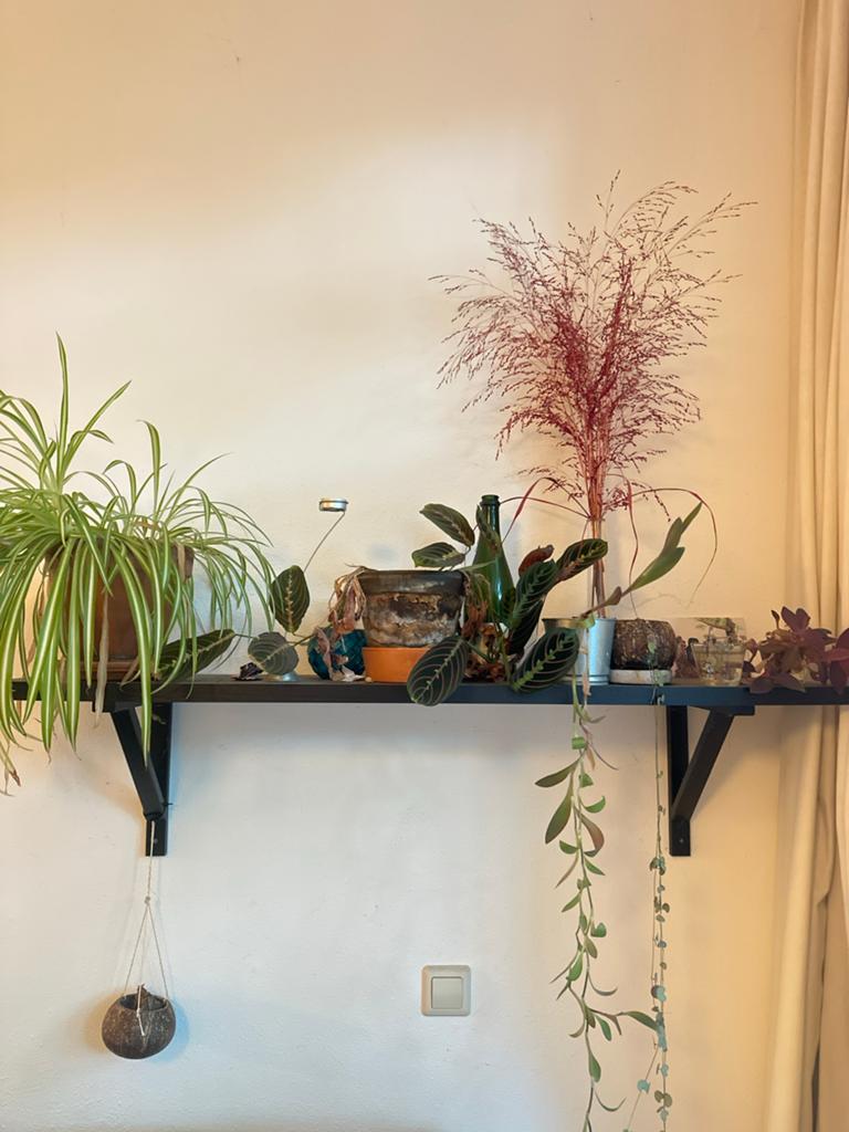 IKEA Lack wandplank met plankdrager, Ophalen, Gebruikt