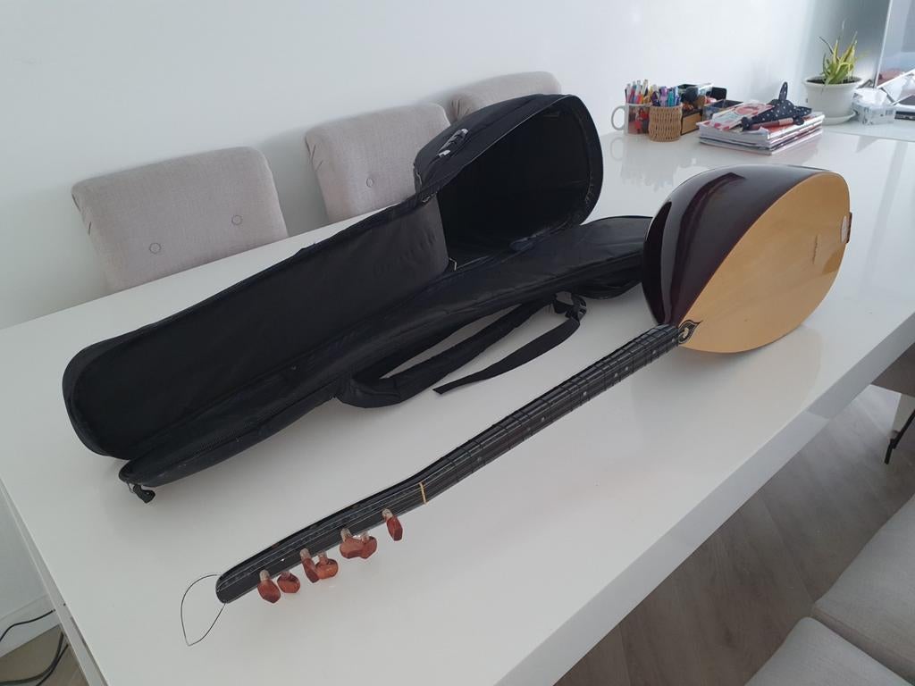 Turkse saz (gitaar) met hoes, Muziek en Instrumenten, Ophalen of Verzenden, Zo goed als nieuw, Overige typen, Met koffer