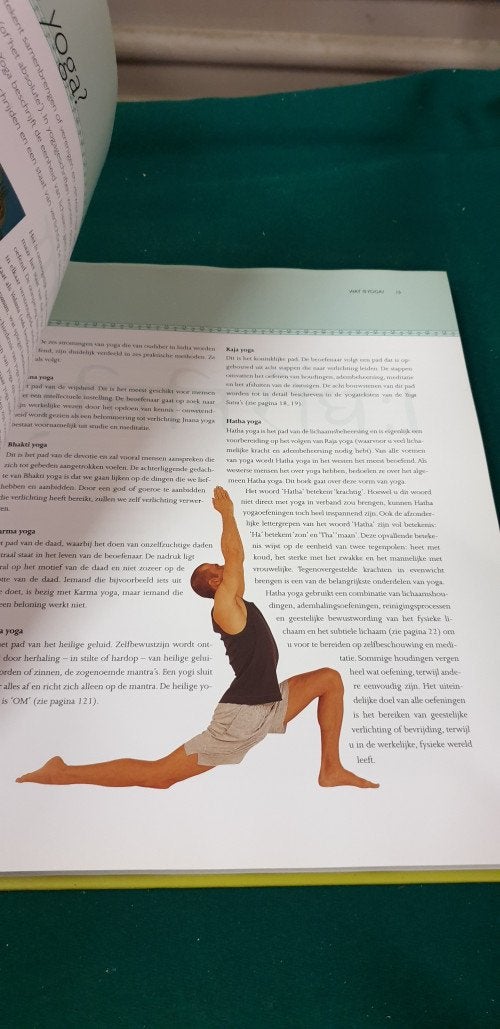 boek ,yoga op maat, Boeken, Ophalen of Verzenden