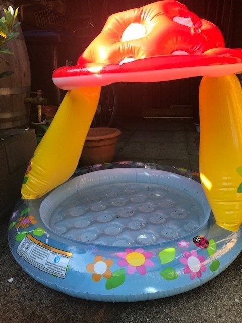 Baby en peuter zwembadje - Paddenstoel, Ophalen of Verzenden, Zo goed als nieuw