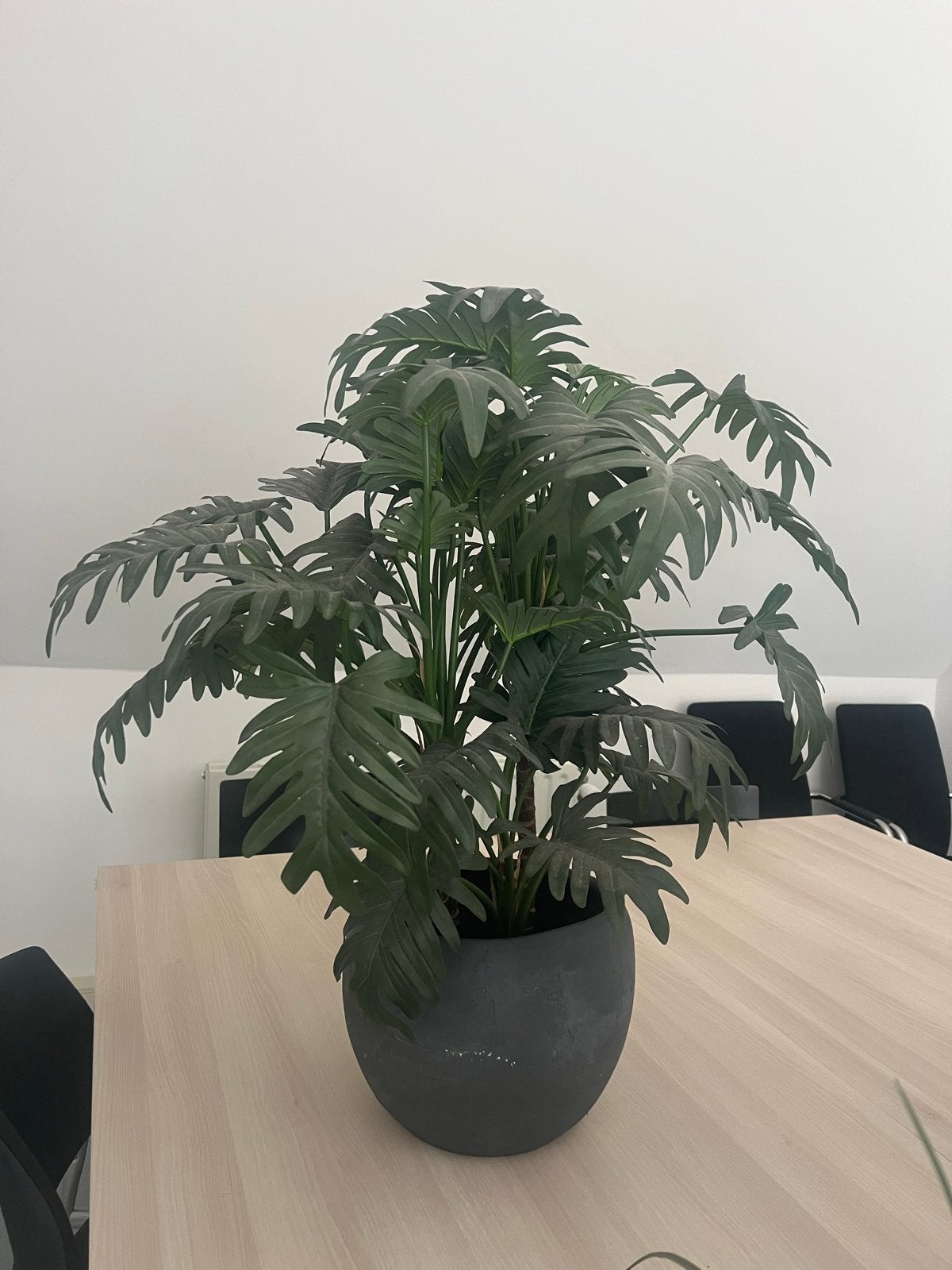 Diverse kunstplanten per stuk of als set, Ophalen, Binnen, Groen, Kunstplant