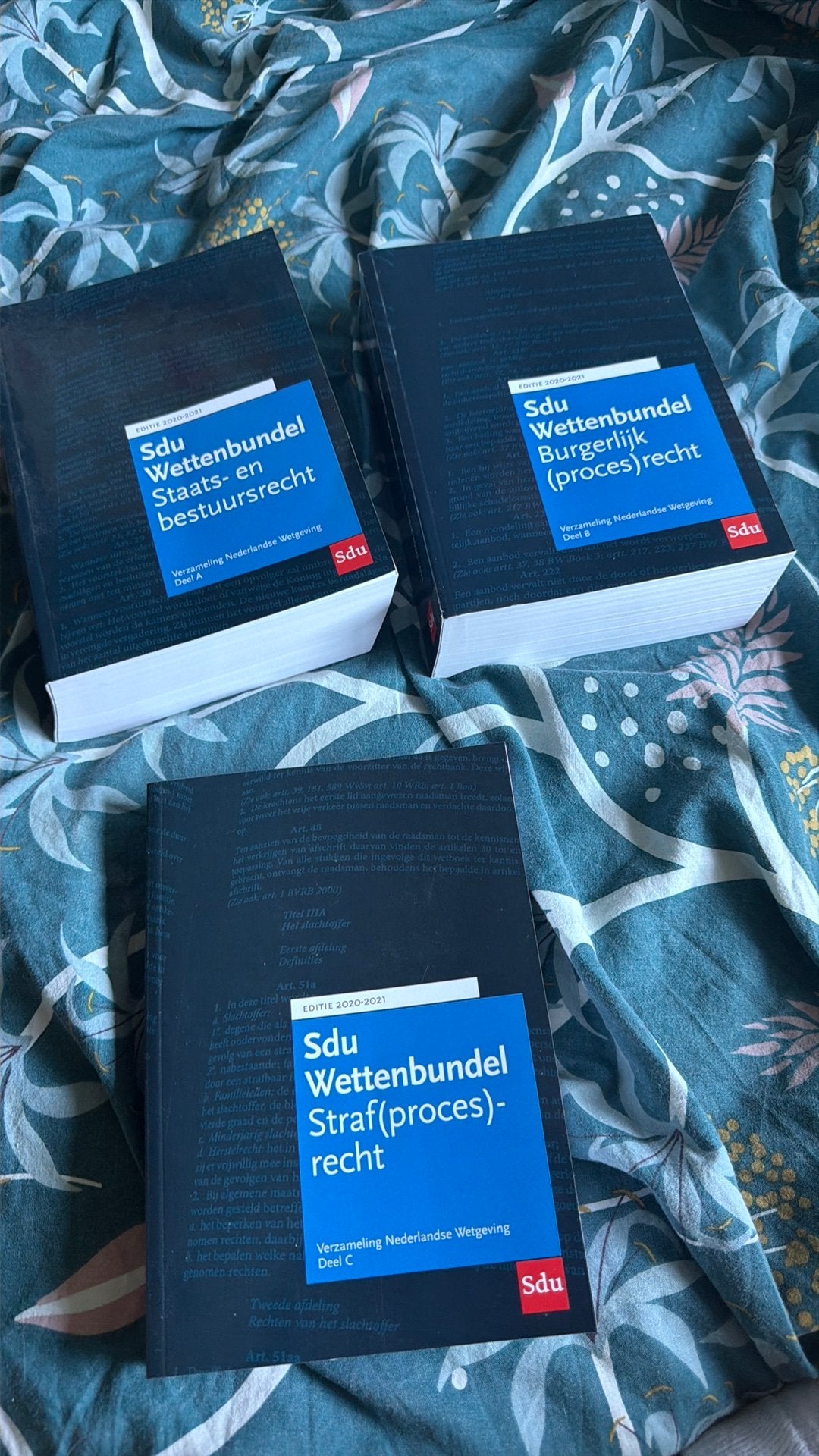 Sdu wettenbundels, Ophalen of Verzenden, Alpha, Zo goed als nieuw, HBO