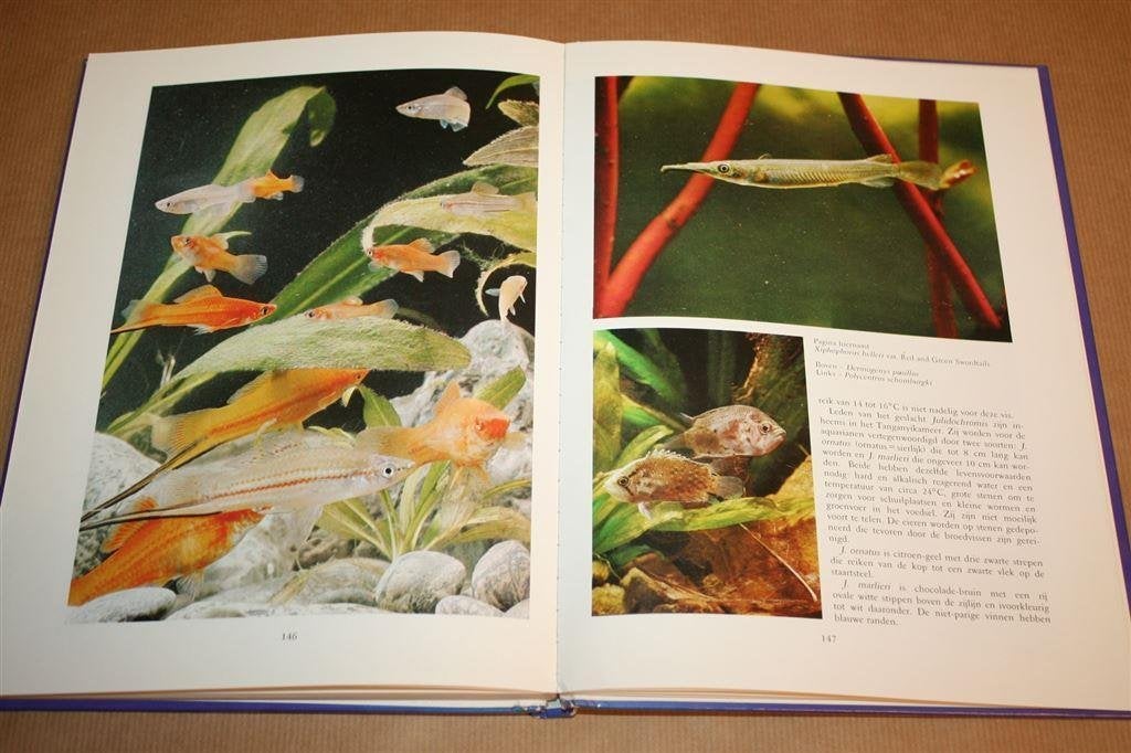 Zoetwater aquariumvissen, Ophalen of Verzenden, Gelezen, Katten