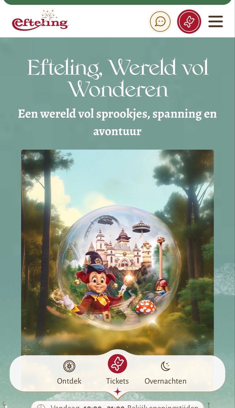 Entree voor vandaag 6 juli, Tickets en Kaartjes, Eén persoon, Ticket of Toegangskaart