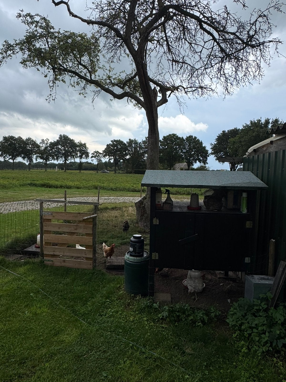 Kippenhok /nachthok/ omheining palen , gaas , voer, bakken., Ophalen, Zo goed als nieuw, Kippenhok of Kippenren