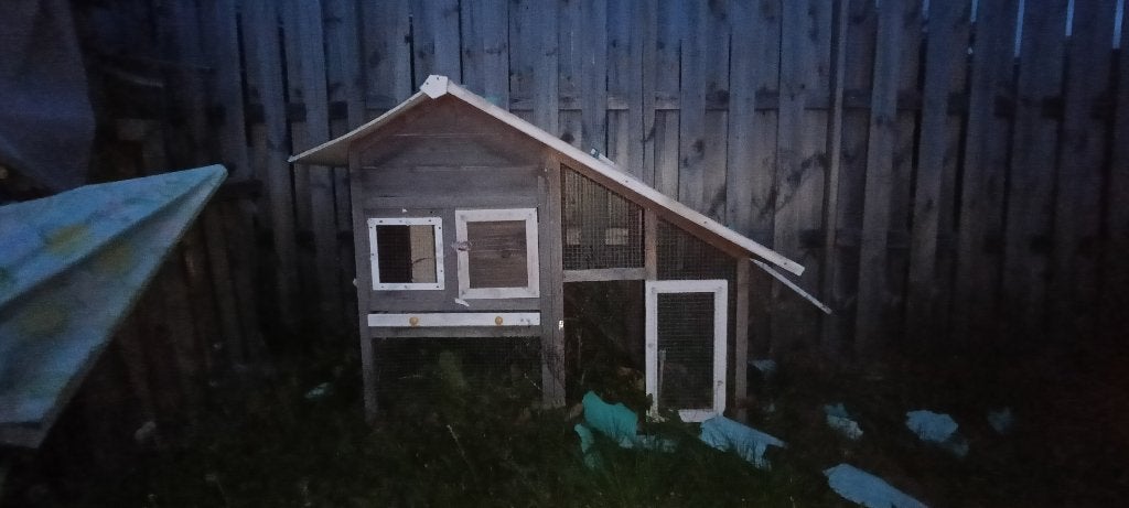 Buitenhok konijn/cavia, Dieren en Toebehoren, Knaagdieren en Konijnen | Hokken en Kooien, Ophalen, 90 cm of meer, Konijn, Hok