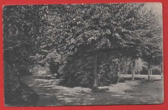 Wormerveer (N.H.) - Wilhelminapark - 1916 - Ong., Verzenden, Voor 1920, Ongelopen, Noord-Holland