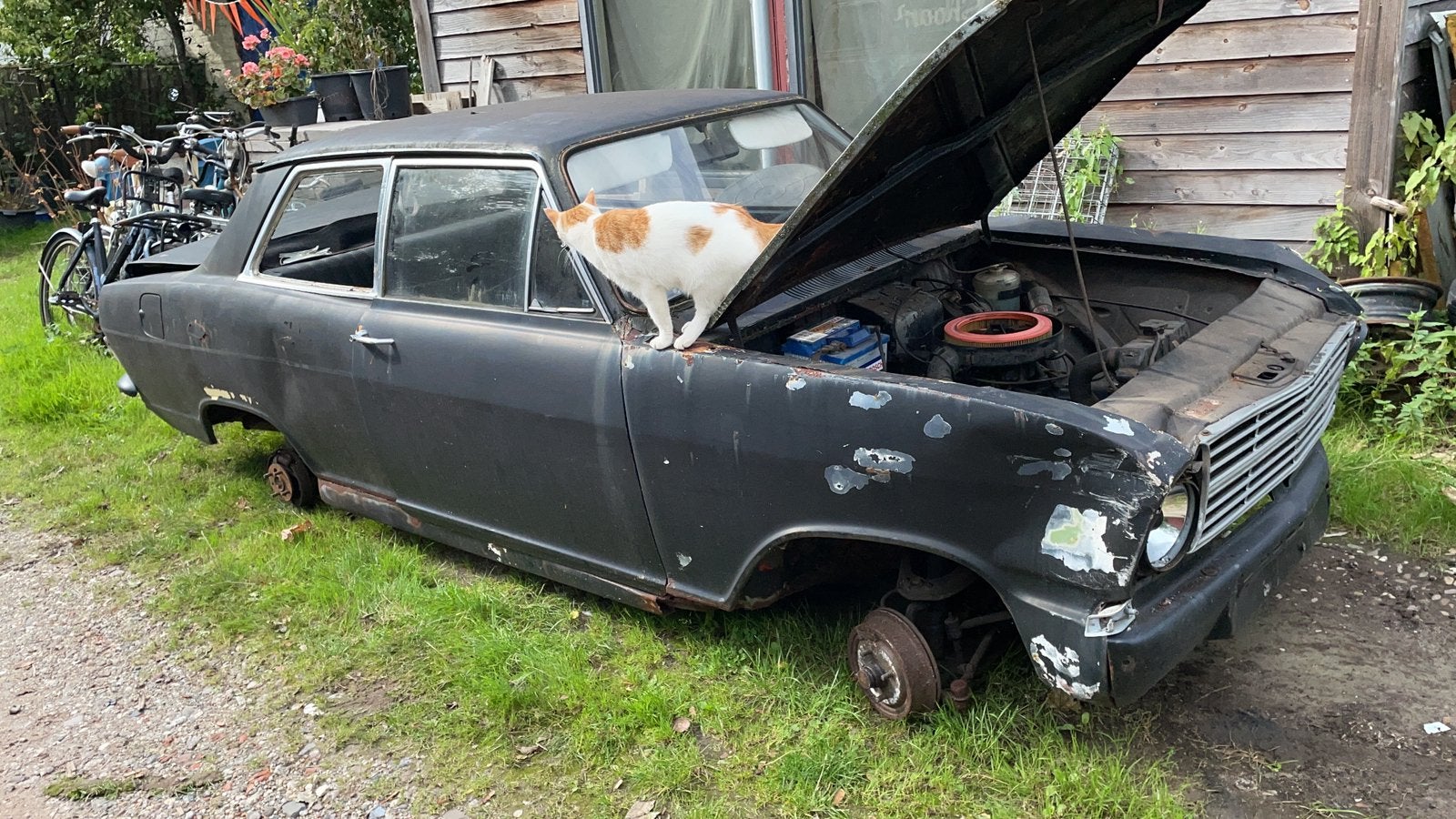 Opel b kadett 1971 lpg kenteken  veeeeel onderdelen, Auto-onderdelen, Ophalen, Opel