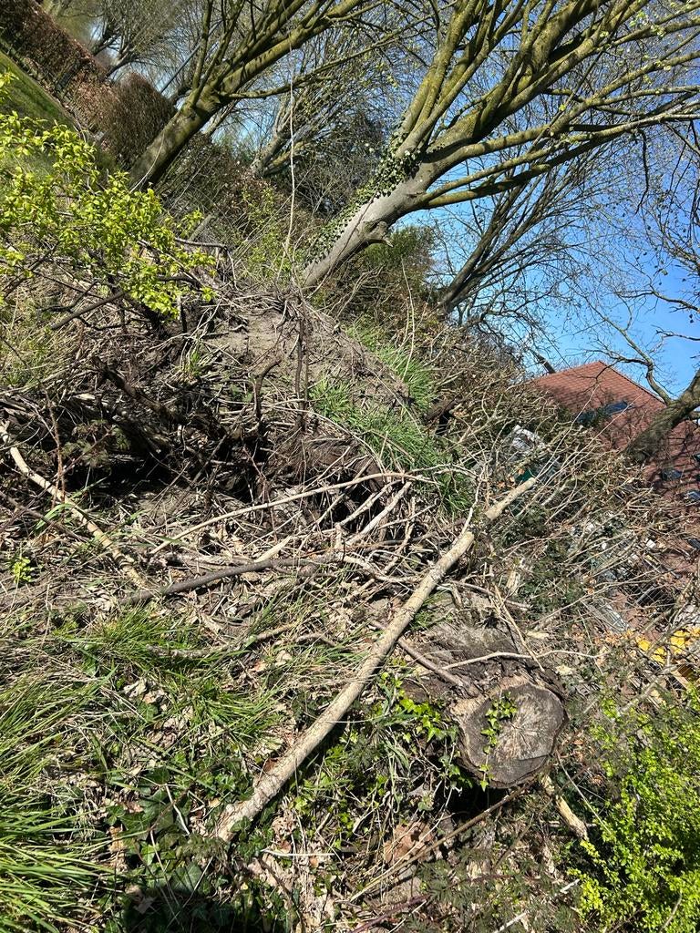 Openhaardhout/ tuinhout, Tuin en Terras, 3 tot 6 m³, Ophalen, Stammen