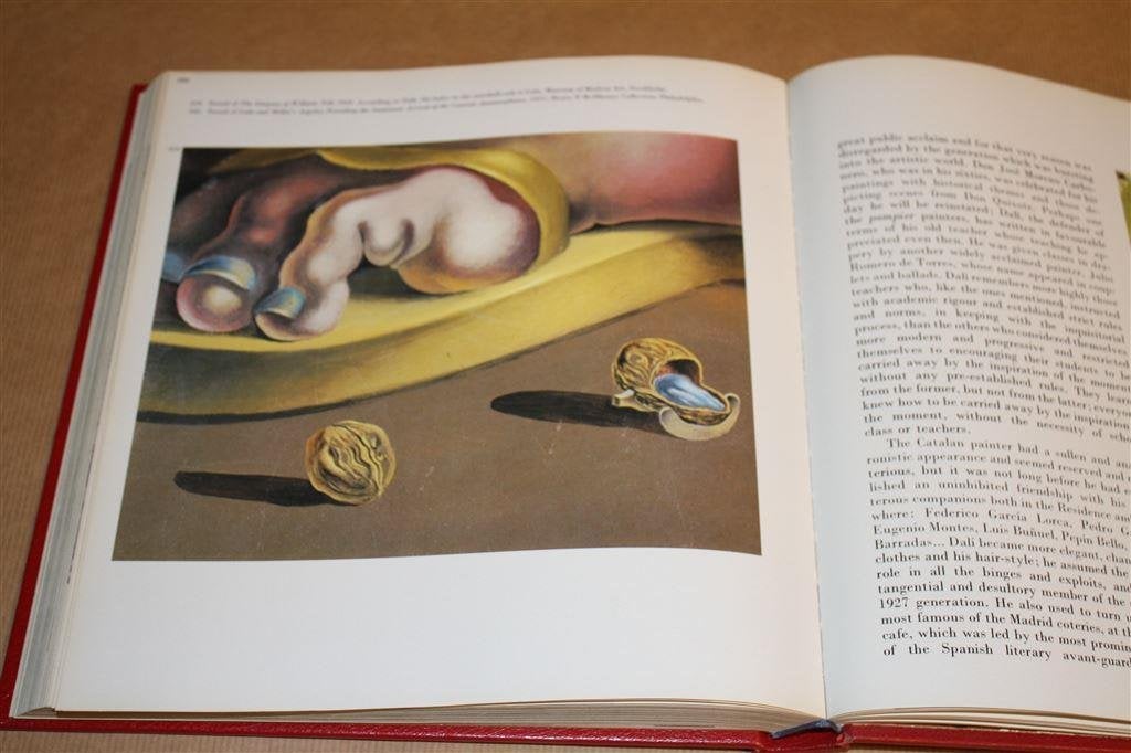 Prachtig kunstboek Dali., Verzenden, Gelezen