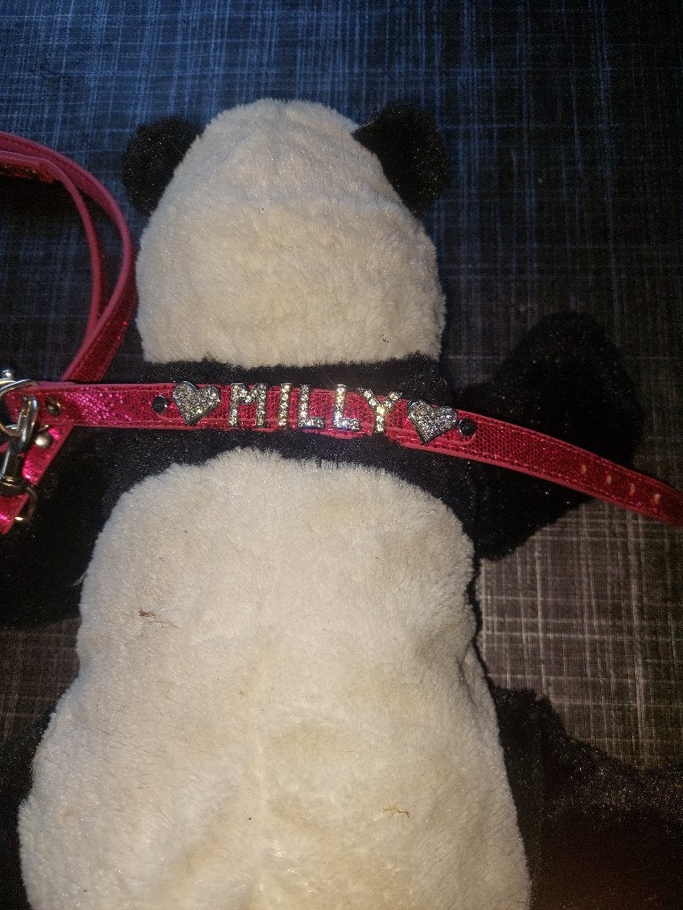 Halsband met looplijn, Ophalen of Verzenden, Nieuw, Hondenriem