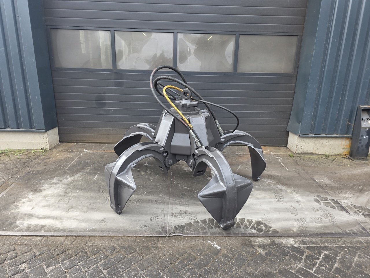 poliepgrijper kinshofer p22
