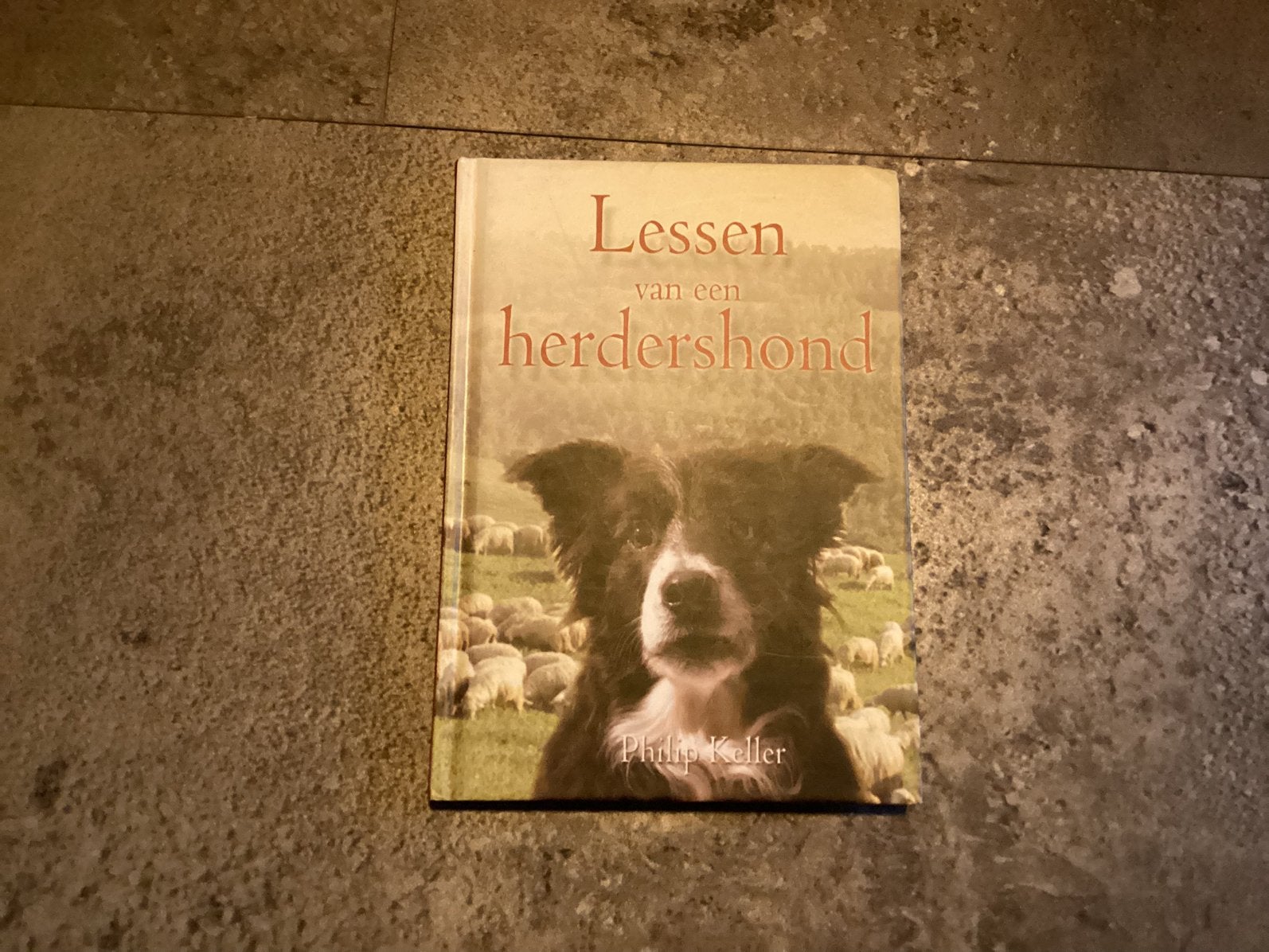 Phillip Keller - Lessen van een herdershond 1+1 gratis 🔥📚, Ophalen of Verzenden, Zo goed als nieuw, Phillip Keller