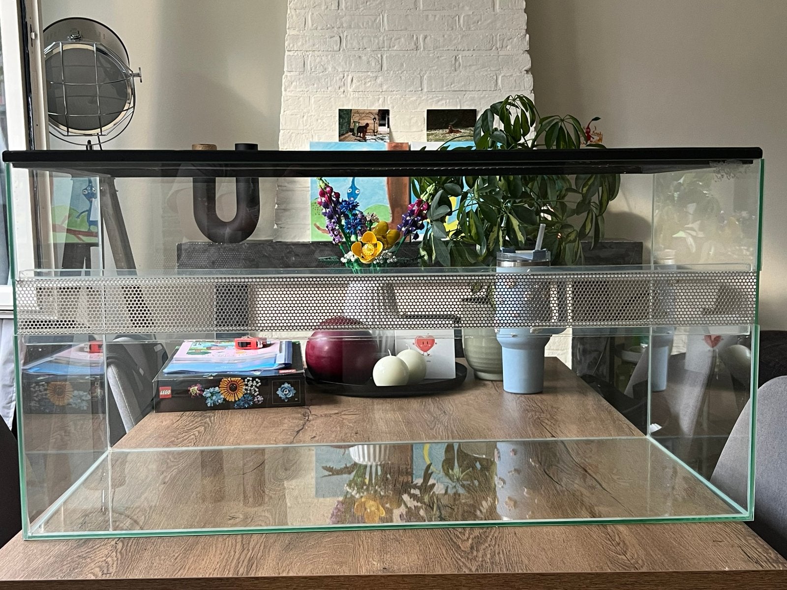 Hamster Terrarium met accessoires, Dieren en Toebehoren, Gebruikt, 75 tot 110 cm, Ophalen, Minder dan 60 cm