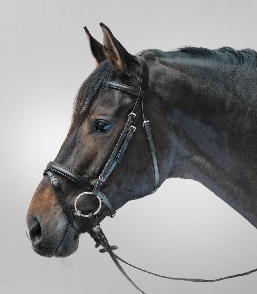 Nieuw Star hoofdstel Zwart maat mini shetlander, ., Nieuw, Ophalen of Verzenden, .