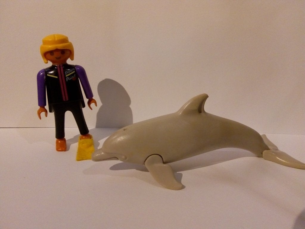 Playmobil set 3649 dolfijn en trainer, Kinderen en Baby's, Speelgoed | Playmobil, Ophalen of Verzenden, Gebruikt