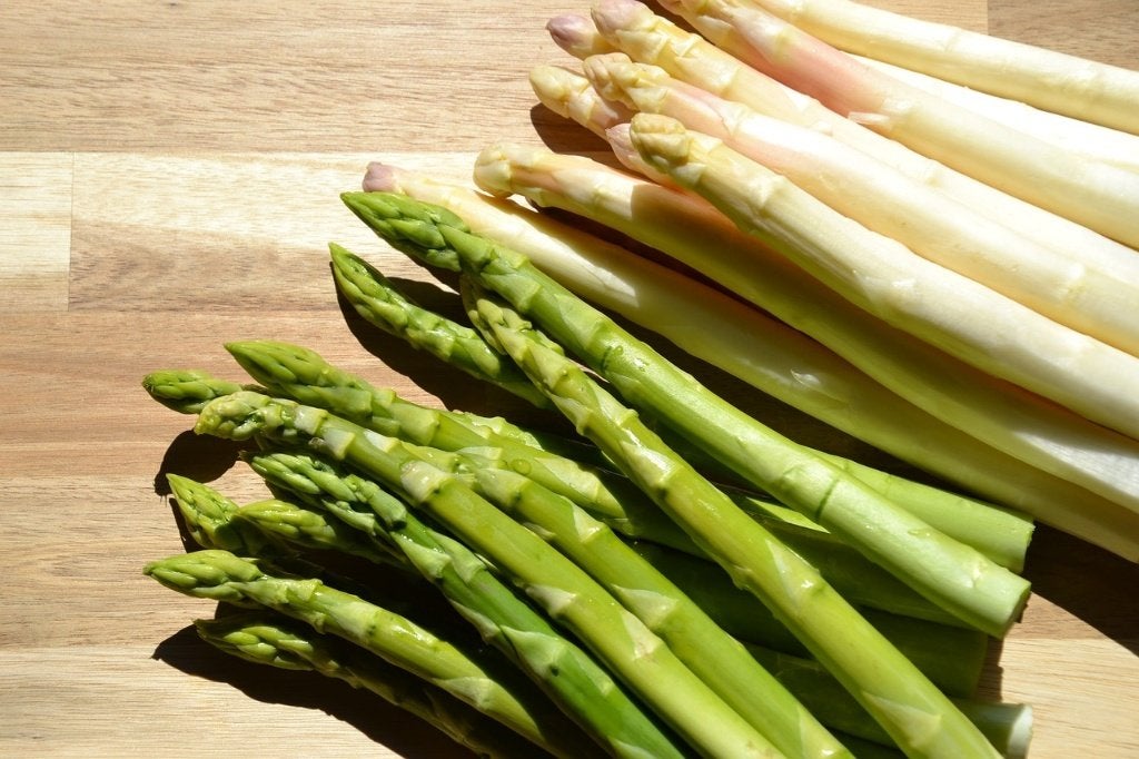 Artisjok en asperge planten voor tuin of border, Volle zon, Ophalen of Verzenden, Zomer, Groenteplanten