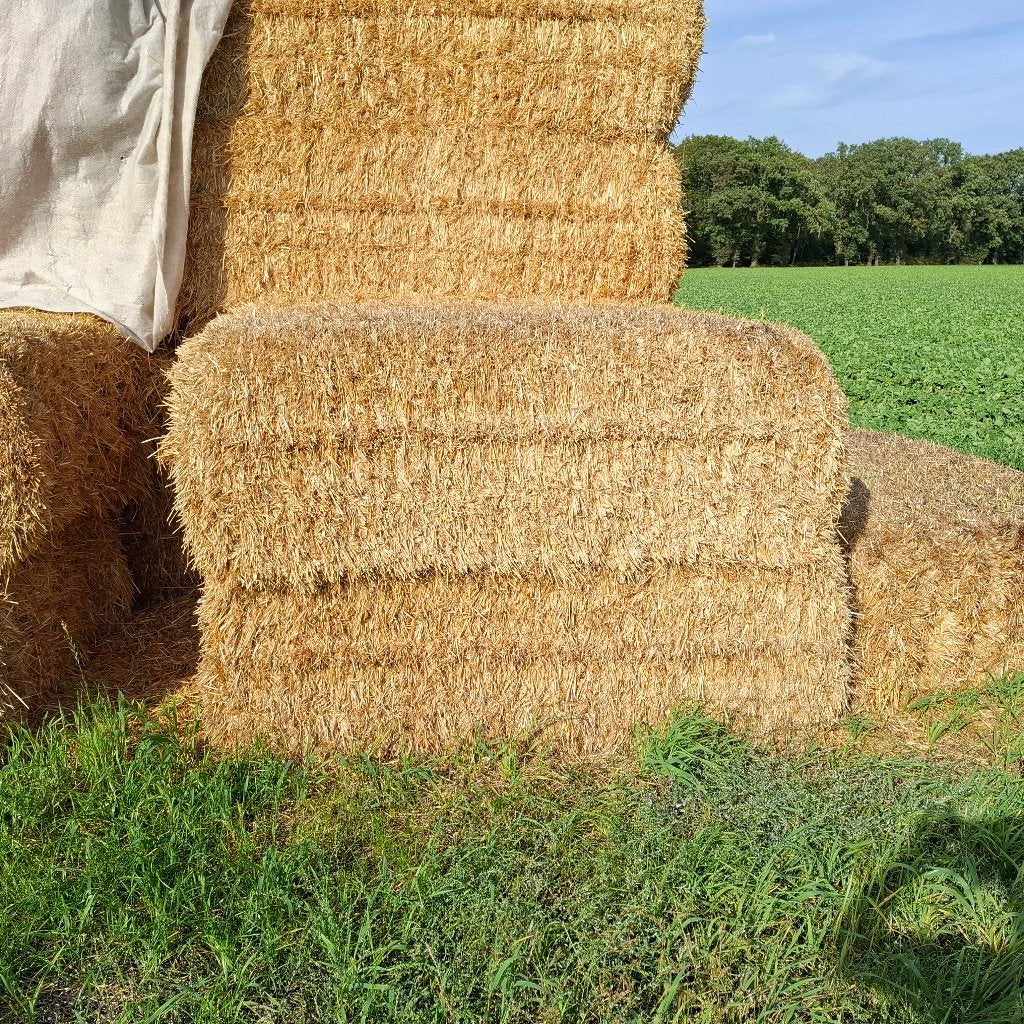 Gerst strobalen, Ophalen, Vee