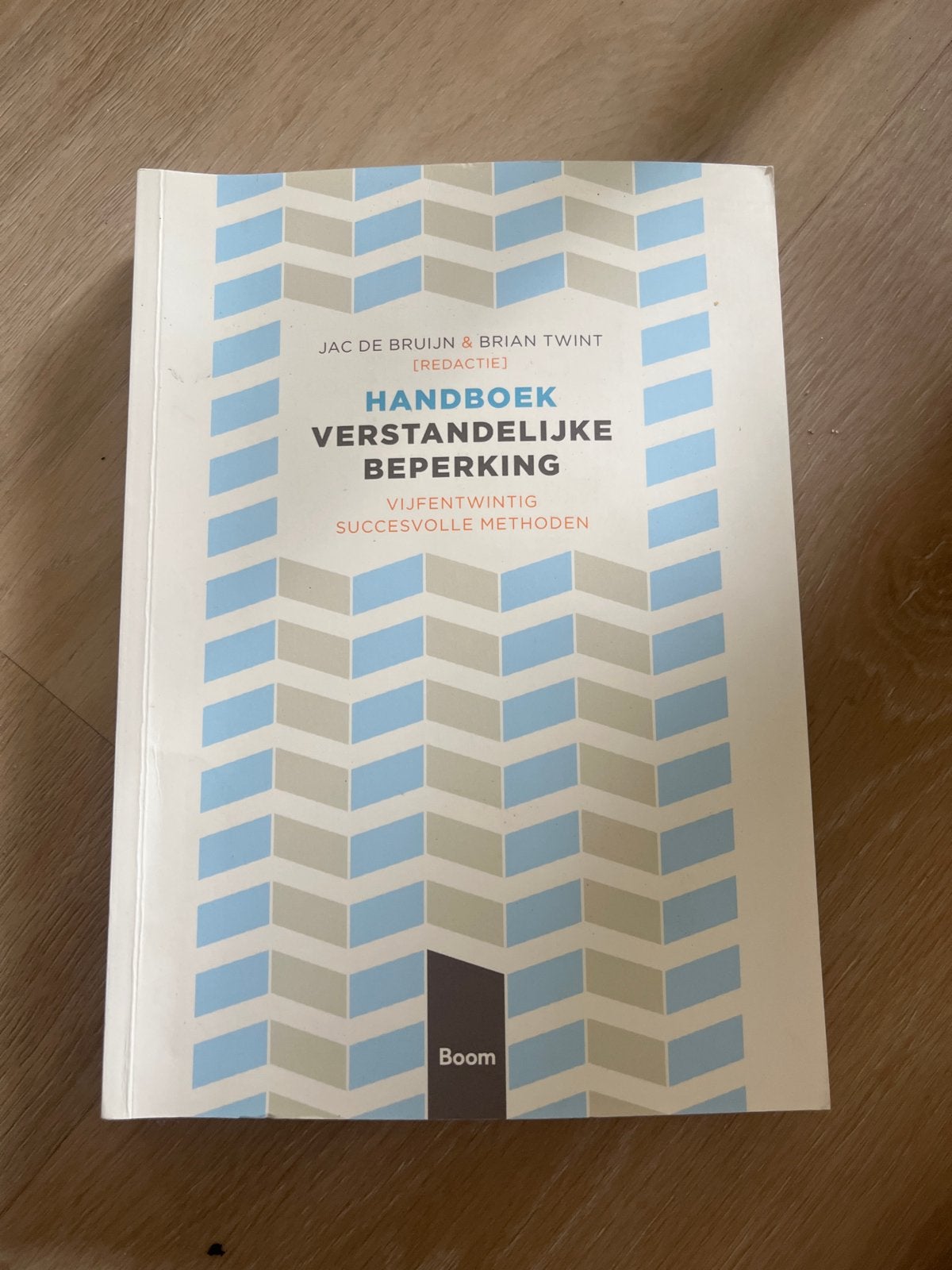 Handboek Verstandelijke Beperking - Jac de Bruijn & Brian Tw, Ophalen of Verzenden, Gamma, Zo goed als nieuw, HBO