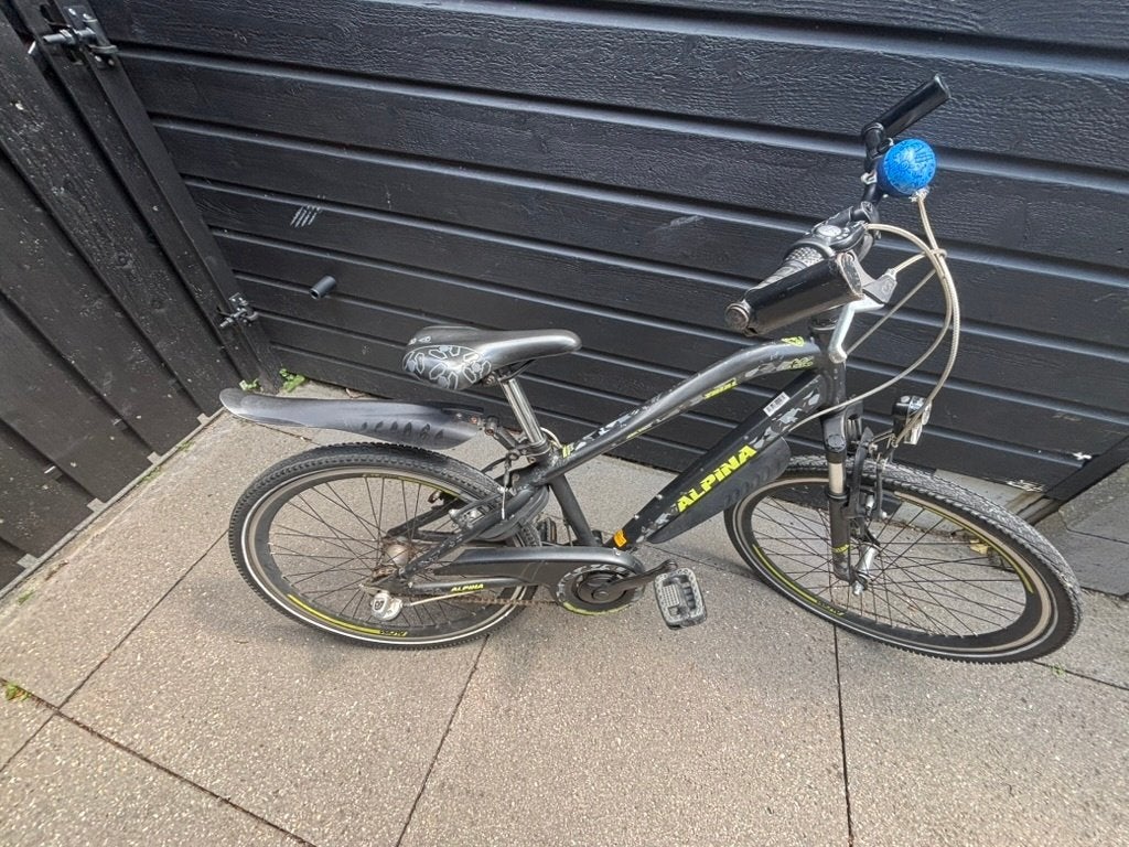 Kinderfiets Alpine Trial 24inch, Ophalen, Terugtraprem, Alpina, Handrem