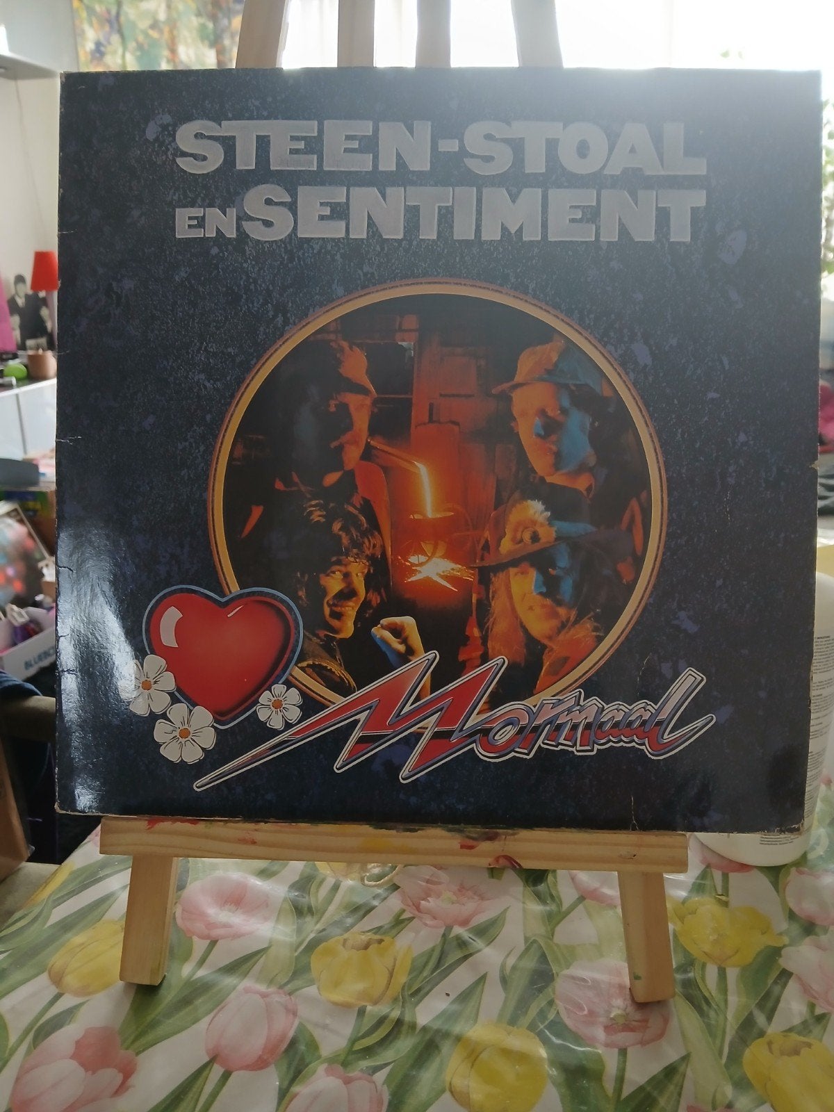 Mooi Normaal - Steen-Stoal en Sentiment LP plaat (1985), Ophalen of Verzenden, Gebruikt, 12 inch, LP