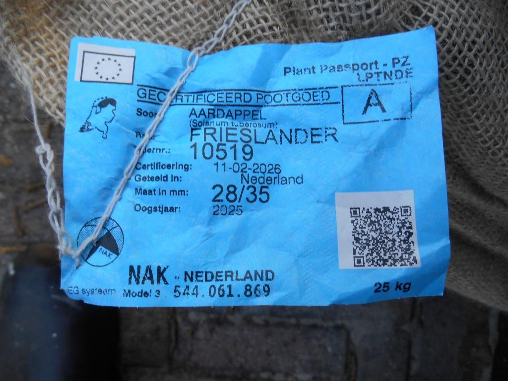 Frieslander pootaardappelen  A 28/35, Ophalen of Verzenden, Voorjaar, Volle zon, Knol