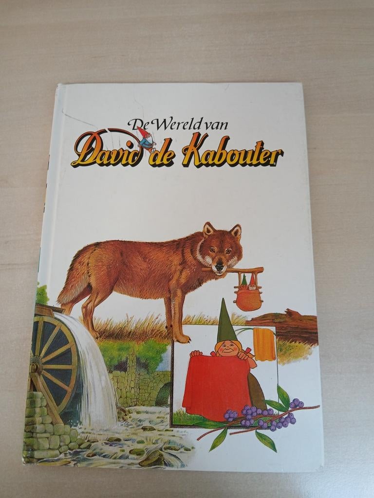 De Wereld van David de Kabouter - boek, Ophalen of Verzenden, Gelezen, Rien Poortvliet