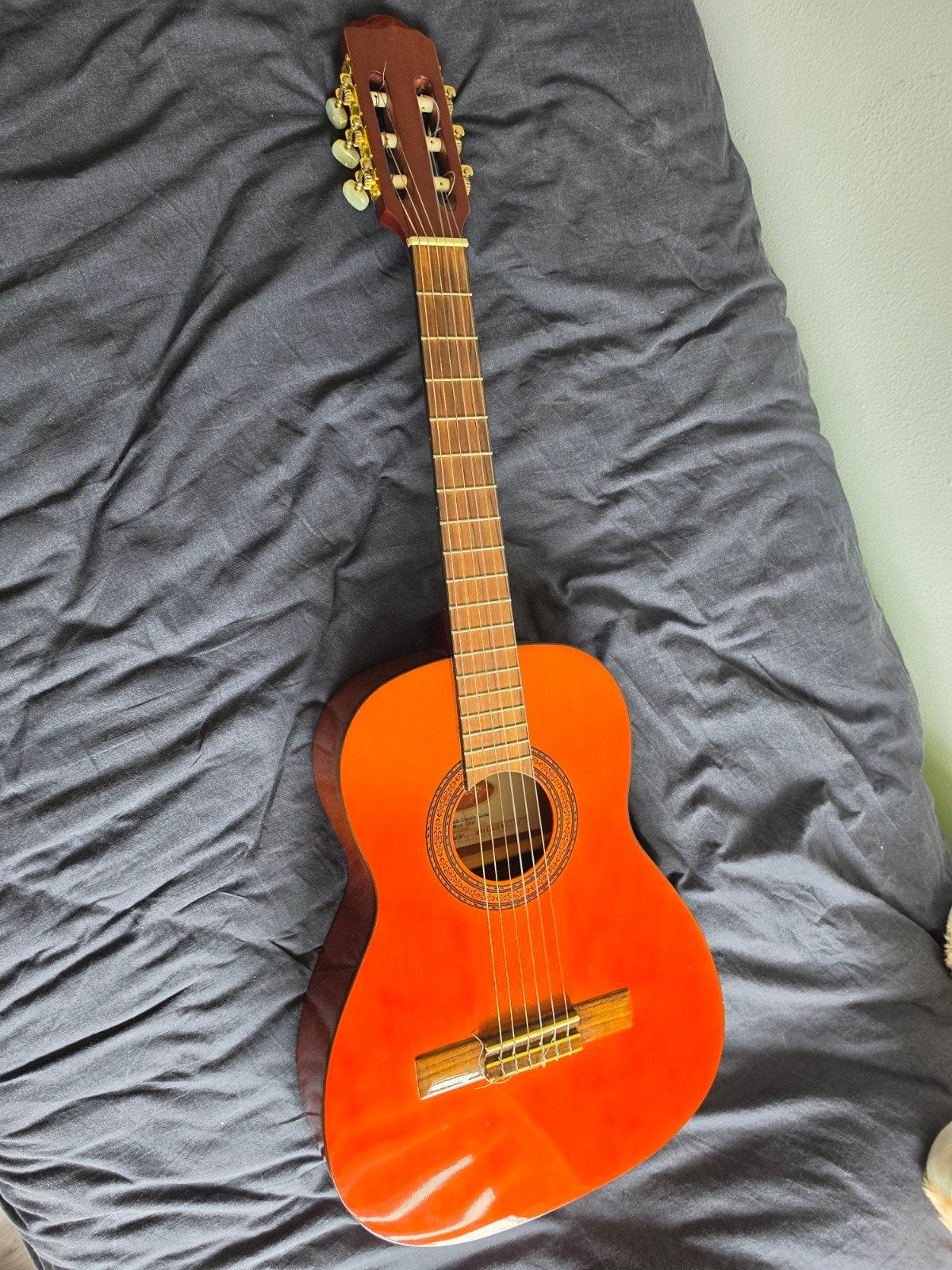 Klassieke gitaar met accessoires en lesmateriaal, Muziek en Instrumenten, Ophalen, Gebruikt, Klassieke of Spaanse gitaar, Met koffer