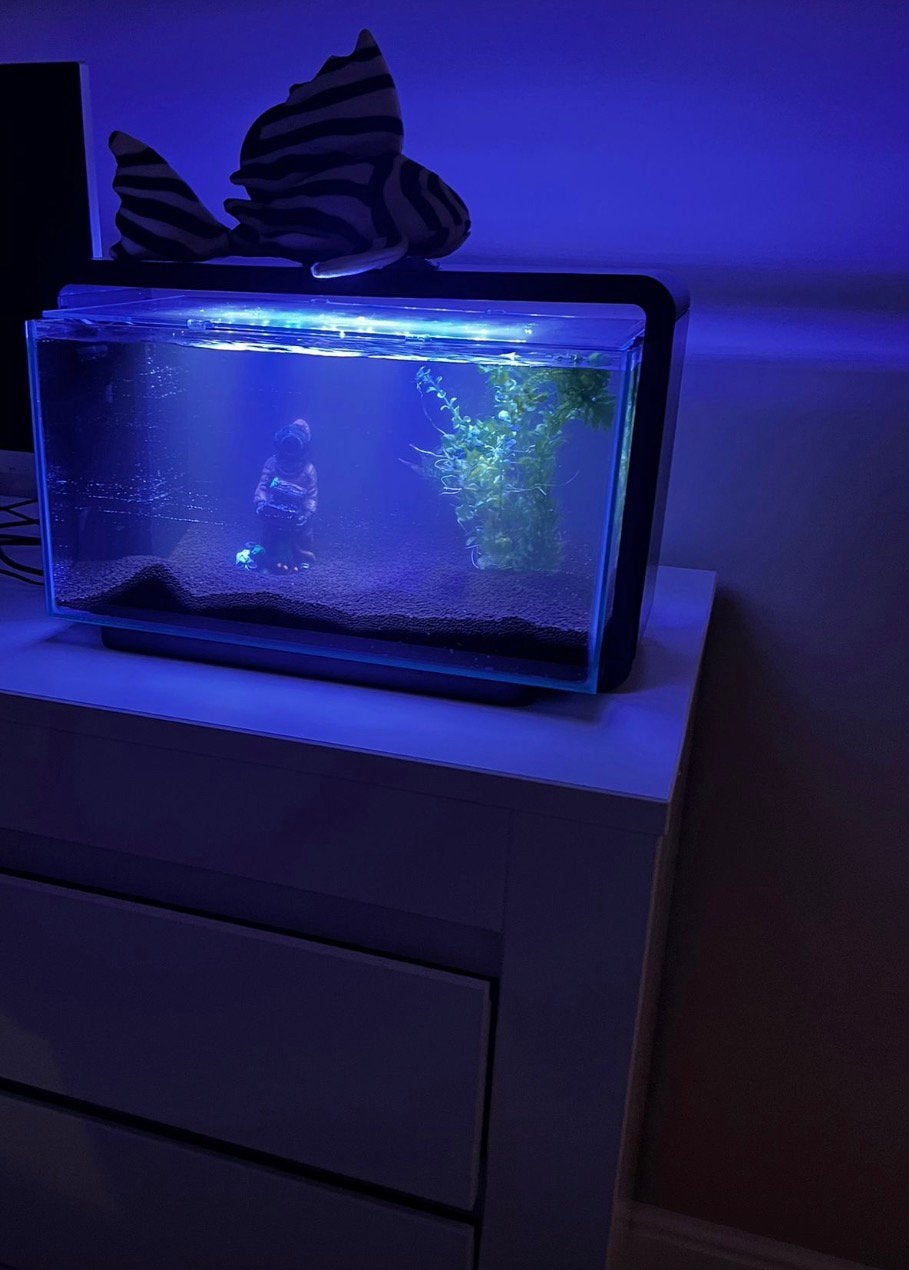 Aquarium compleet, Dieren en Toebehoren, Vissen | Aquaria en Toebehoren, Ophalen, Zo goed als nieuw, Leeg aquarium, Superfish
