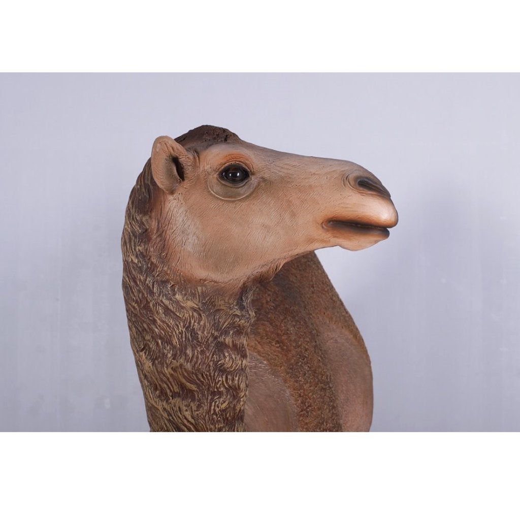 Dromedary Camel – Dromedaris beeld Lengte 250 cm, Verzamelen, Ophalen, Nieuw, Overige typen