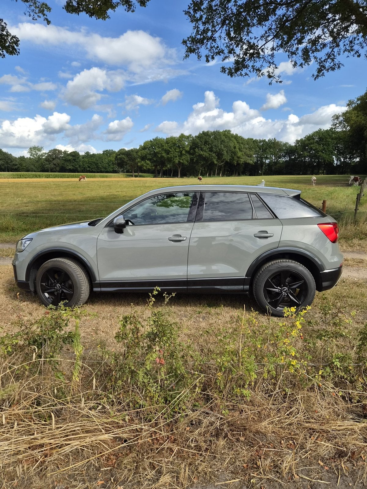 Nette Audi Q2 1.4 Tfsi CoD  incl. onderhoudshistorie, Auto's, 4 cilinders, Origineel Nederlands, 1395 cc, 19 km/l
