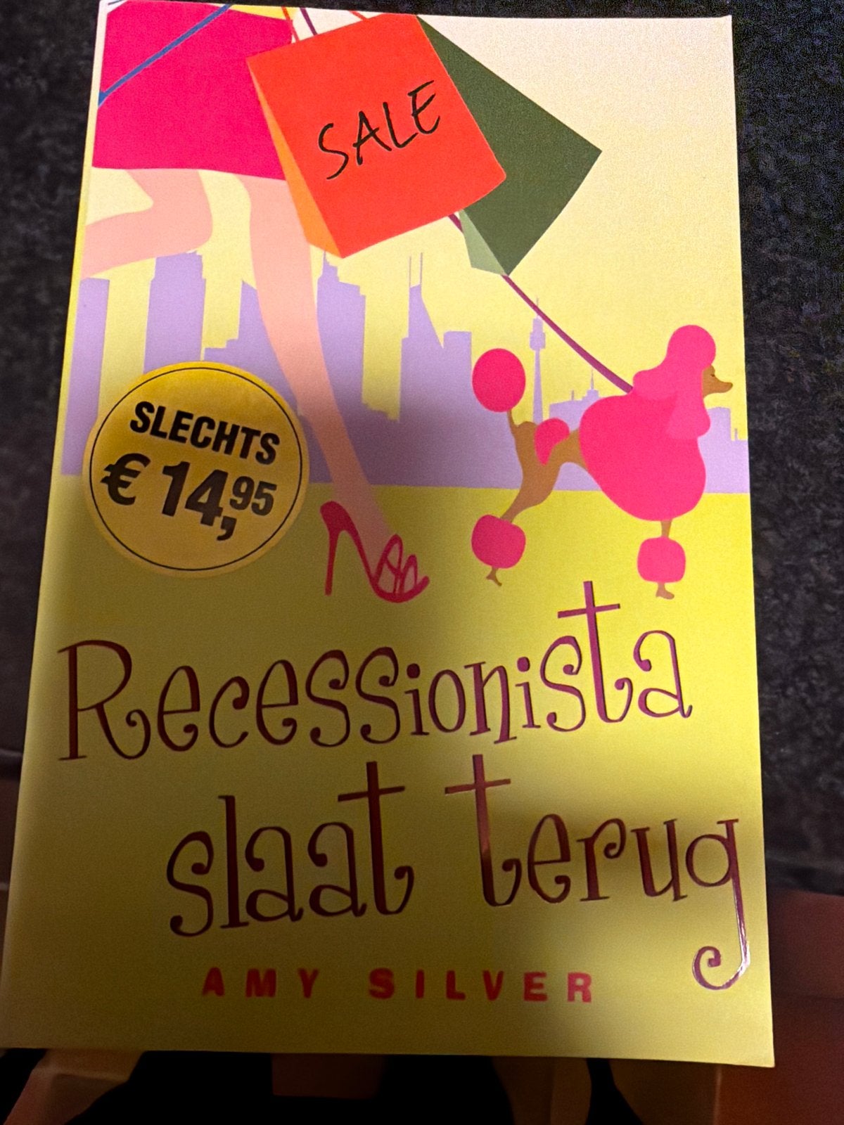 HKO.  Amy Silver - Recessionista slaat terug, Ophalen of Verzenden, Zo goed als nieuw, Amy Silver