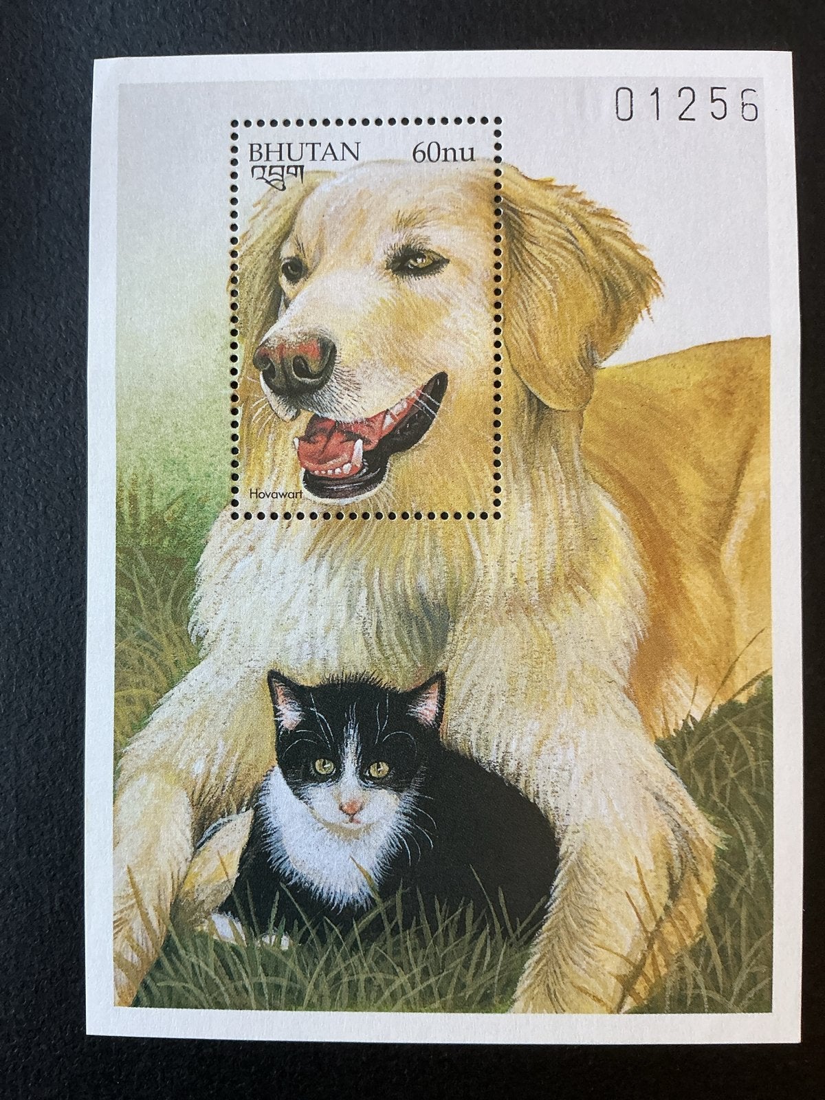 Bhutan Postzegels - Honden en Katten (Postfris), Ophalen of Verzenden, Postfris, Dier of Natuur