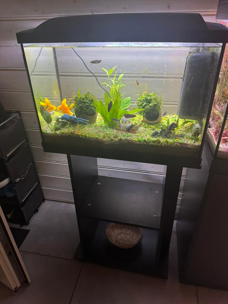 Aqarium te koop, Ophalen of Verzenden, Zo goed als nieuw