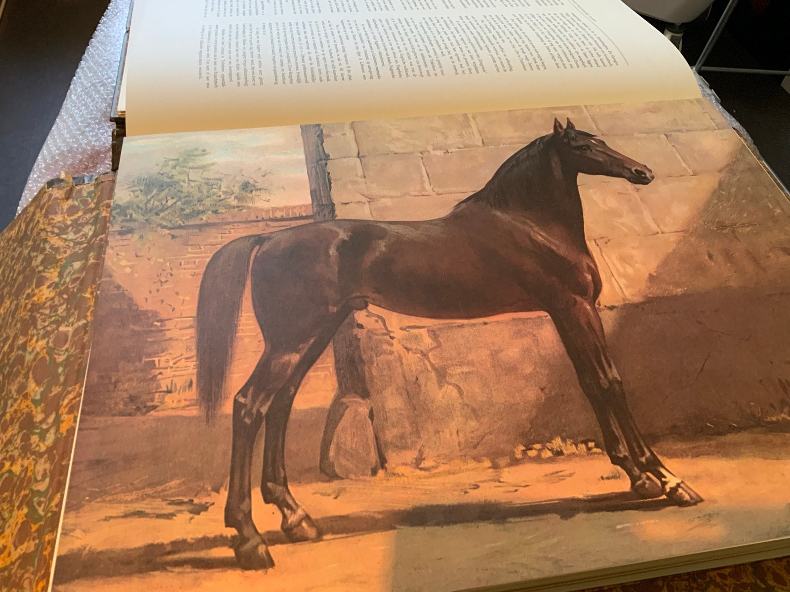 Hippoboek Paardenrassen Kunstalbum - Otto Eerelman (1976), Ophalen of Verzenden, Zo goed als nieuw, Onbekend, Hippoboek