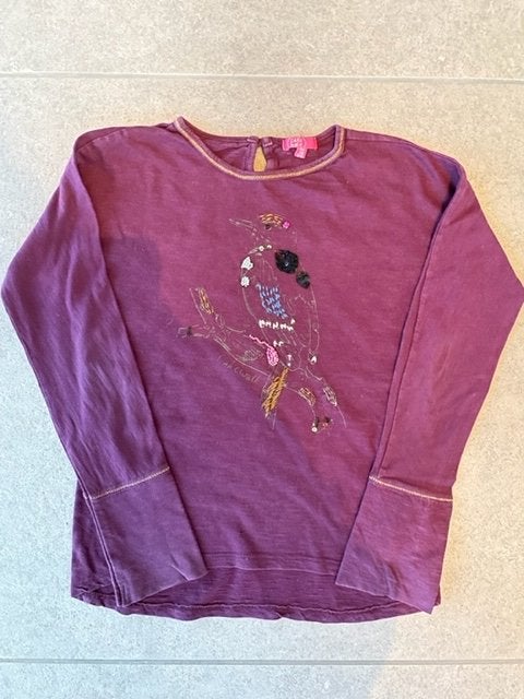 Cakewalk longsleeve maat 140 met vogelprint, Ophalen of Verzenden, Zo goed als nieuw, Meisje, Shirt of Longsleeve