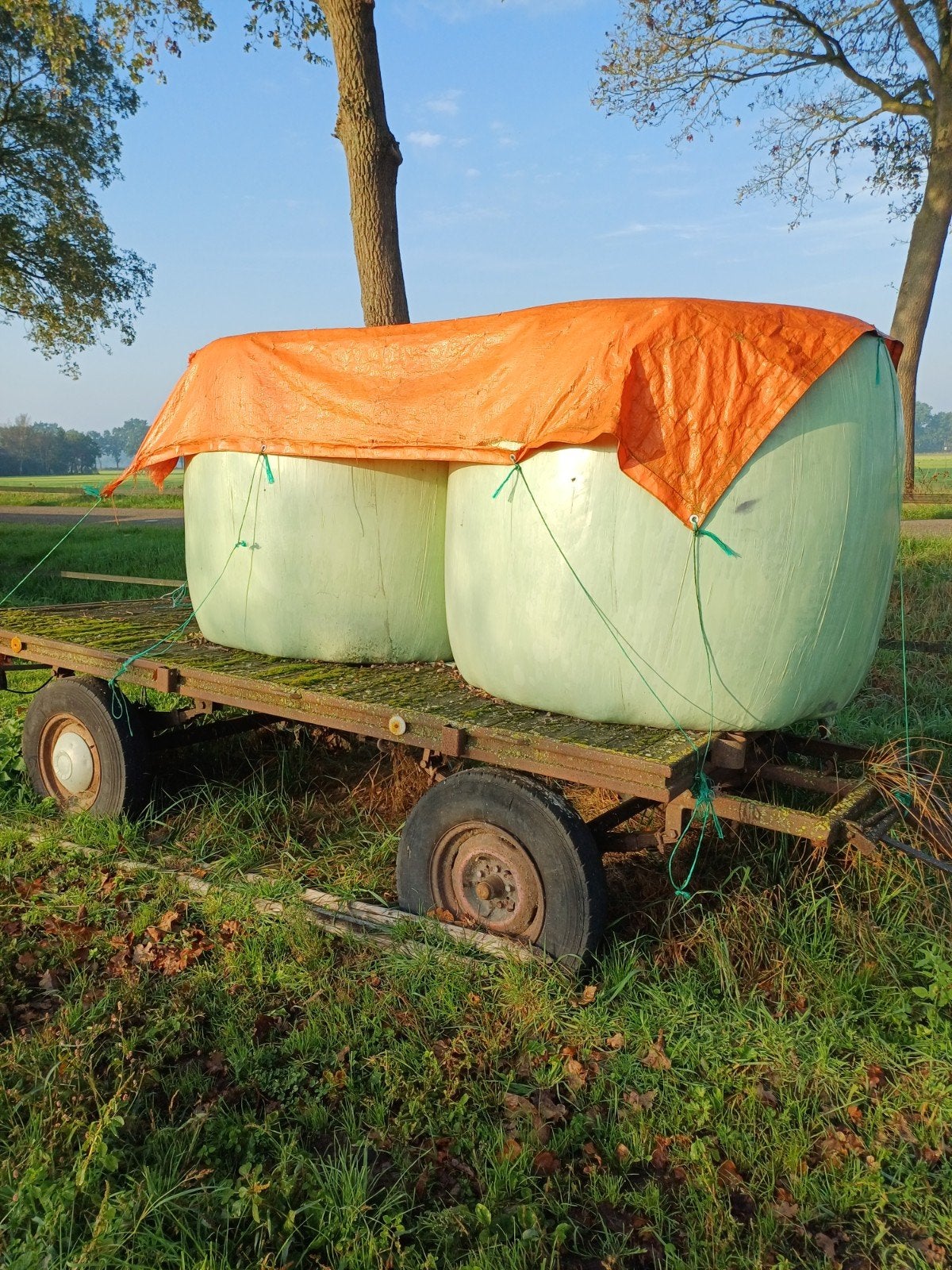 Grote ronde hooibalen te koop, Ophalen, Overige soorten
